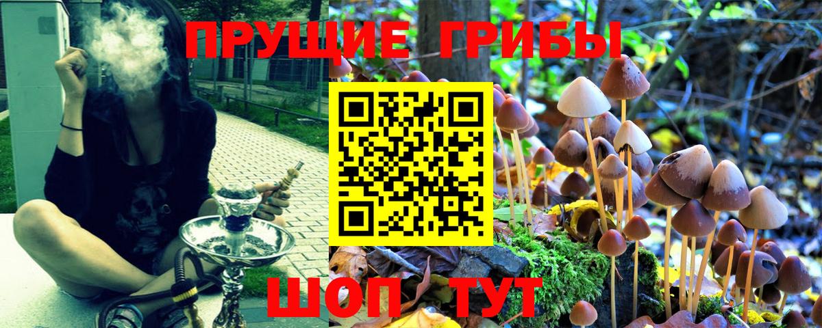 Назарово  Псилоцибиновые грибы прущие грибы  Вход с VPN  Галлюциногенные грибы Cubensis 